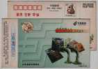 Dolphin Craftwork,China 1999 Shandong Post Office Mail Order Advertising Pre-stamped Card - Delfini