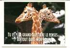 CPSM GIRAFE Tu Es Plus Grand Que Tu Ne Le Penses...surtout Dans Mon Coeur Feeling Avec Le Sourire - Giraffes