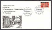 Denmark 1992 European Football Championship Mi. 1035 On Special Cover Brief Ry Højskole - Cartas & Documentos