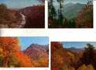 4 Older US Mountain Postcards - Cartes De Montagne Aux Etats Unis - Altri & Non Classificati