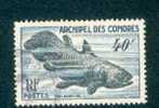 COMORES N°13 OB. TB COTE 2011 20 EUROS - Other & Unclassified