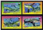 TOKELAU // WWF // FAUNE MARINE - REQUINS // SERIE 4V NEUFS *** - Tokelau