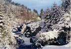 CPM.   LES VOGES SOUS LA NEIGE.  Le Torrent. - Sonstige & Ohne Zuordnung