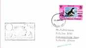 British Antarctic Territory South Pole-South Africa, Penguins Stamp On A Cacheted Cover 1981 - Andere & Zonder Classificatie