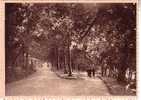 CPA.     LAC DE VIRELLES.    Sous Bois - Pavillon Tallien.      (animée) - Chimay