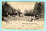 BRUSSEL LE GRAND RAVIN ET LE PONT RUSTIQUE AU BOIS IIN 1901  VERSTUURD VANUIT FLEURUS - Forêts, Parcs, Jardins