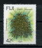 FIJI     1994    Edible Seaweeds   42c Sagati - Fiji (1970-...)