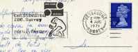 Postal Inglaterra  ZOO SURREY 1971 - Monkeys