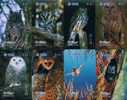 Owls  Birds   , China Tietong  , Used Phonecard , 8 PCs - Gufi E Civette