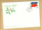 FDC Polen 1988 - Nowy Rok - Nieuwjaar - Maretak - Bessen - Ster - Mooie Afst. Warszawa - New Year