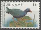 REPUBLIEK SURINAME 1985 ZBL 467 VOGEL BIRD OISEAU - Hoendervogels & Fazanten