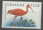 REPUBLIEK SURINAME 1985 ZBL 469 VOGEL BIRD OISEAU - Kranichvögel