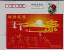 China 2004 Huatuo Five Animal Game Pre-stamped Card Health Life Gongfu Learn From Tiger Leopard Monkey Snake Crane - Grues Et Gruiformes