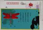 Insect Dragonfly Kite,poetry,China 2007 Lunar New Year Greeting Pre-stamped Card - Unclassified