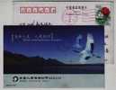 Red-crowned Crane Bird,China 2002 Life Insurance Compamy Xinchang Branch Advertising Pre-stamped Card - Grues Et Gruiformes