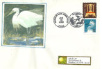 USA. L'aigrette Blanche, Enveloppe Souvenir , Année 2008 - Enveloppes évenementielles