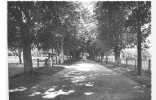 50 )) SAINT SAUVEUR LE VICOMTE, Avenue De Lourdes, CPSM 150 X 105 Ed Goubey - Saint Sauveur Le Vicomte