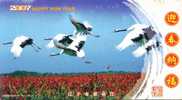 Crane Grue Birds  .   Prepaid Card , Postal Stationery - Grues Et Gruiformes