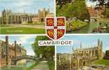 CAMBRIDGE. - Cambridge