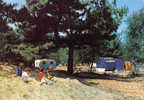 Carte Postale  80. Quend-plage-les-Pins Camping "Le Bois Dormant" Mr. Jacques Vasseur Propriétaire Trés Beau Plan - Quend