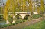 TRINITY COLLEGE BRIDGE. CAMBRIDGE. - Cambridge