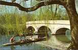 TRINITY BRIDGE. CAMBRIDGE. - Cambridge