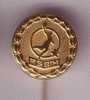 BOSNIA BALONMANO FEDERATION  ( Old Pin ) Badge Hand-ball Balonmano Pallamano Palla A Mano Anstecknadel Distintivo - Balonmano