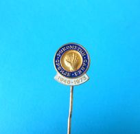 SERBIAN HANDBALL FEDERATION - Old Pin Badge By BERTONI - MILANO * Hand-ball Association Balonmano Pallamano - Balonmano