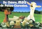 CPM - Du Chèvre, Mais De Poitou-Charentes - Publicité - Poitou-Charentes