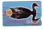 RSA - South Africa - Black Bird - Vogel - Goose - Exp. Date 2002/03 - Suráfrica