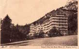 74 / Assy Passy. Grand Hôtel Du Mont Blanc - Passy