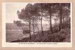 29 PLOUGASNOU Environs GUERZIT VUE PRISE BOIS SAPINS Le 17.08.1937 ¤ Collection NEDELEC N°126 ¤ FINISTERE ¤7192A - Plougasnou