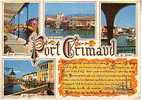 CPM.       SOUVENIR DE PORT-GRIMAUD.      1972. - Port Grimaud