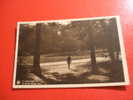 CPA OU CPSM??-BELGIQUE-TERVUEREN/TERVUREN-LE PARC-LE GRAND BASSIN MIROIR AVEC UN PERSONNAGE-CARTE EN BON ETAT. - Tervuren