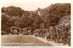 ITALIAN GARDENS .HOLYWELL. EASTBOURNE. - Eastbourne