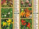 Calendrier 2004 La Poste - Les Fleurs Deviennnent Légumes Dans Notre Jardin - Département De L´Aisne - Grand Format : 2001-...