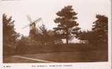 OLD WINDMILL - WIMBLEDON COMMON - London Suburbs