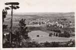 LANGOGNE Vue Générale Sur La Vallée De L'Allier - Langogne