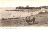 Saint Briac - Le Nessey ( Vache Et Bateaux ) - Saint-Briac