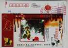 Red Crowned Crane Bird,China 2007 Nwespaper Of Chinese Language Advertising Pre-stamped Card - Kranichvögel