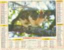 - Calendrier Almanach Des PTT 1988 - Chiots - L'intrépide (Chat)  - Département De L'Aisne - Grossformat : 1981-90