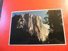 CPM OU CPSM??-ETATS-UNIS : EL CAPITAN -YOSEMITE NATIONAL PARK,CALIFORNIA-CARTE EN  BON ETAT . - USA National Parks