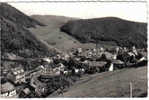 Carte Postale 68. Sainte-Marieaux-Mines  Echery   Trés Beau Plan - Sainte-Marie-aux-Mines