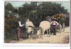 ATTELAGE De Boeufs  * Belle Carte Animée 1909 - Wagengespanne