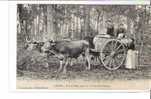 ATTELAGE * LANDES - Dans La Foret, Mise En Barrique De La Résine  *  Belle CPA Animée, - Teams