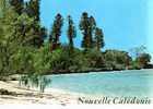 CPSM.  NOUVELLE CALEDONIE. ILE DES PINS. BAIE DE KUTO. NEW CALEDONIA. - Nouvelle Calédonie