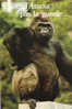 Gorille : "Faîtes L'amour Pas La Gueule..." - Monos