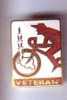 TOUR DE YOUGOSLAVIE ( Old & Rare & Large ENAMEL Pin ) Cyclisme Cycling Vélo Radsport Ciclismo Bicycling Radfahren - Ciclismo