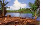 TAHITI  -   Préparation Du Coprah Devant La Splendide  Baie De  MATAIERA   -  N° C 19902  - - Polynésie Française