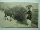 5072    JAPAN NIPPON JAPON   ????  YEARS  / ANNI  1910 - Tokyo